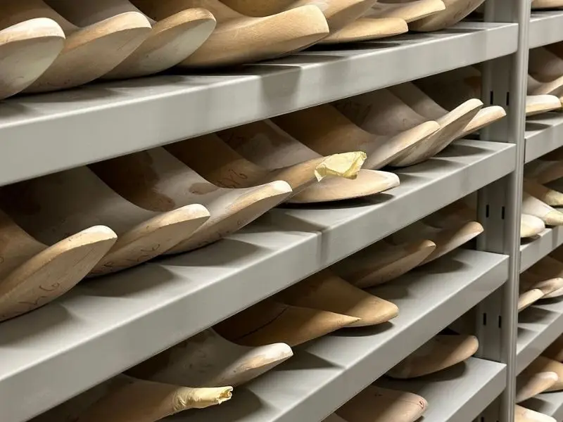 Materials & Craftsmanship Part Material Upper Genuine or vegan brown suede Lining Breathable microfiber or soft leather Footbed Latex or cork cushioning Outsole Textured rubber, lightweight